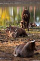 Alexandre BADOT - BADOT ALEXANDRE
